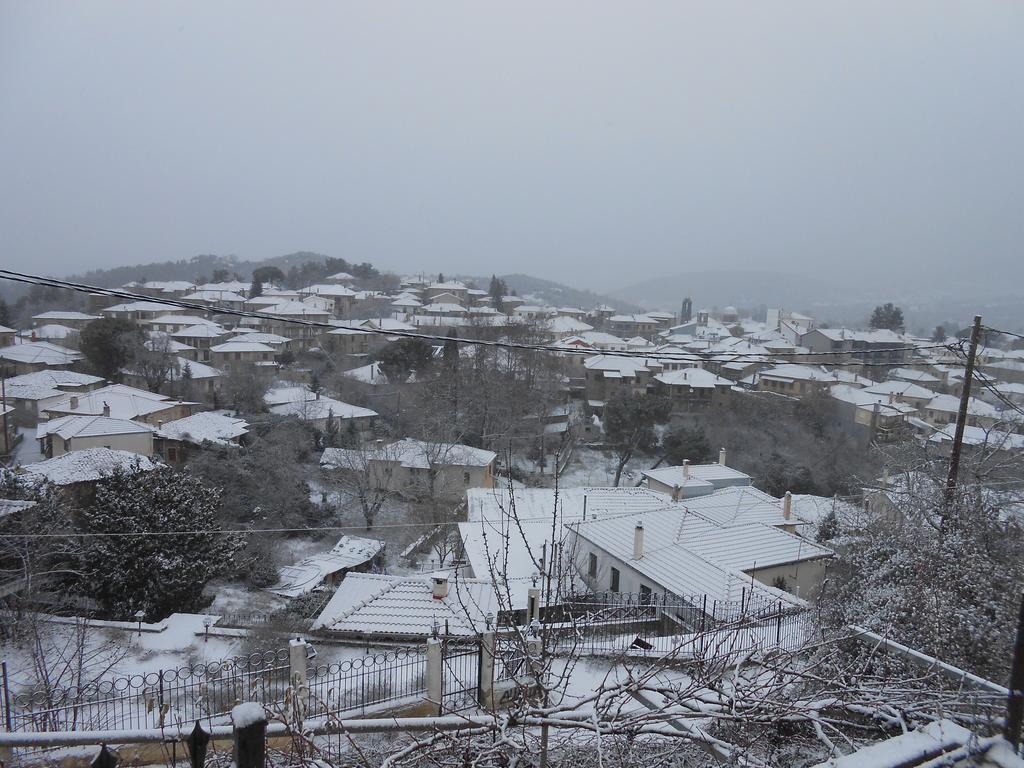 Guesthouse Panorama วิตีนา ภายนอก รูปภาพ