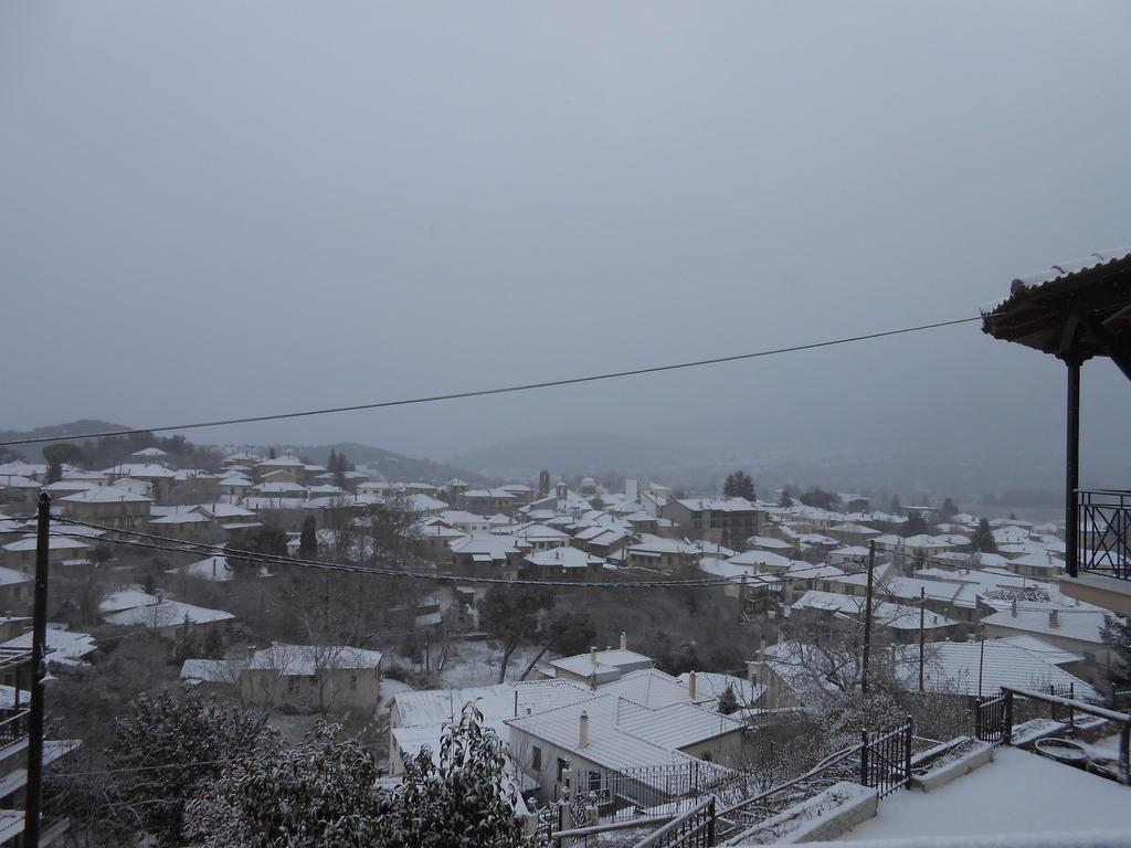 Guesthouse Panorama วิตีนา ภายนอก รูปภาพ